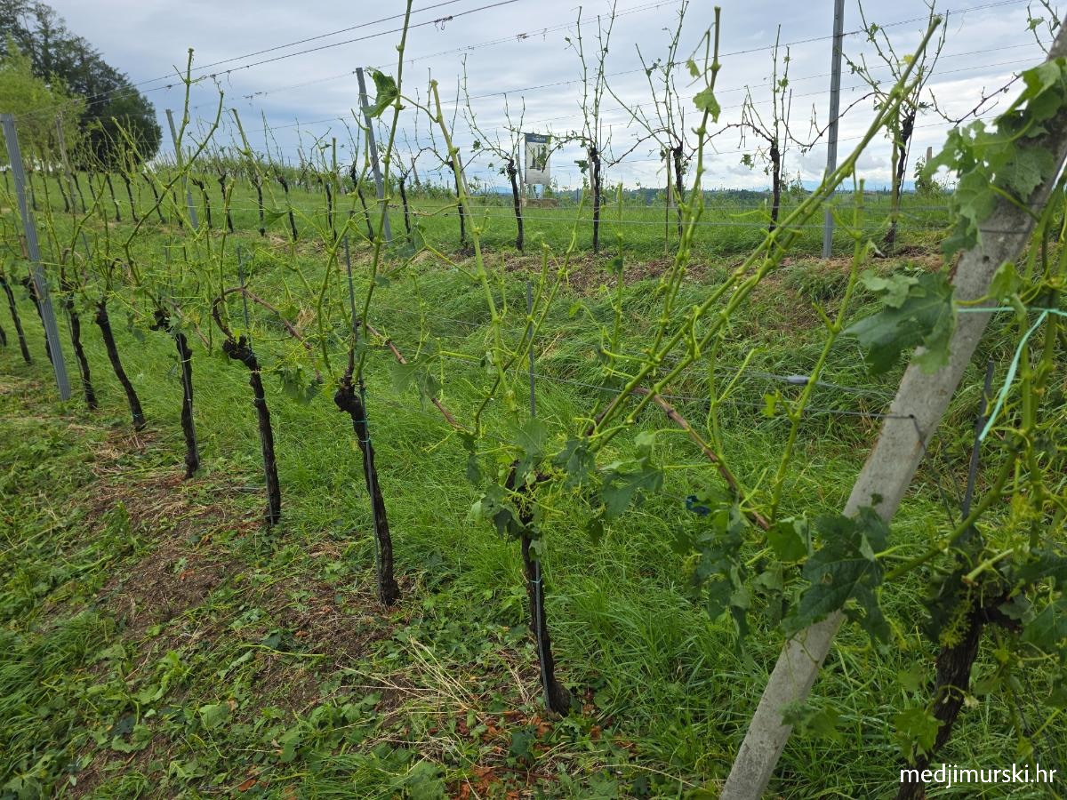 Tuča Mađerkin breg (4)
