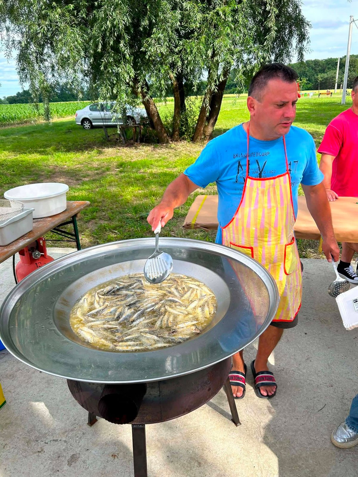 Hrast ribičko7