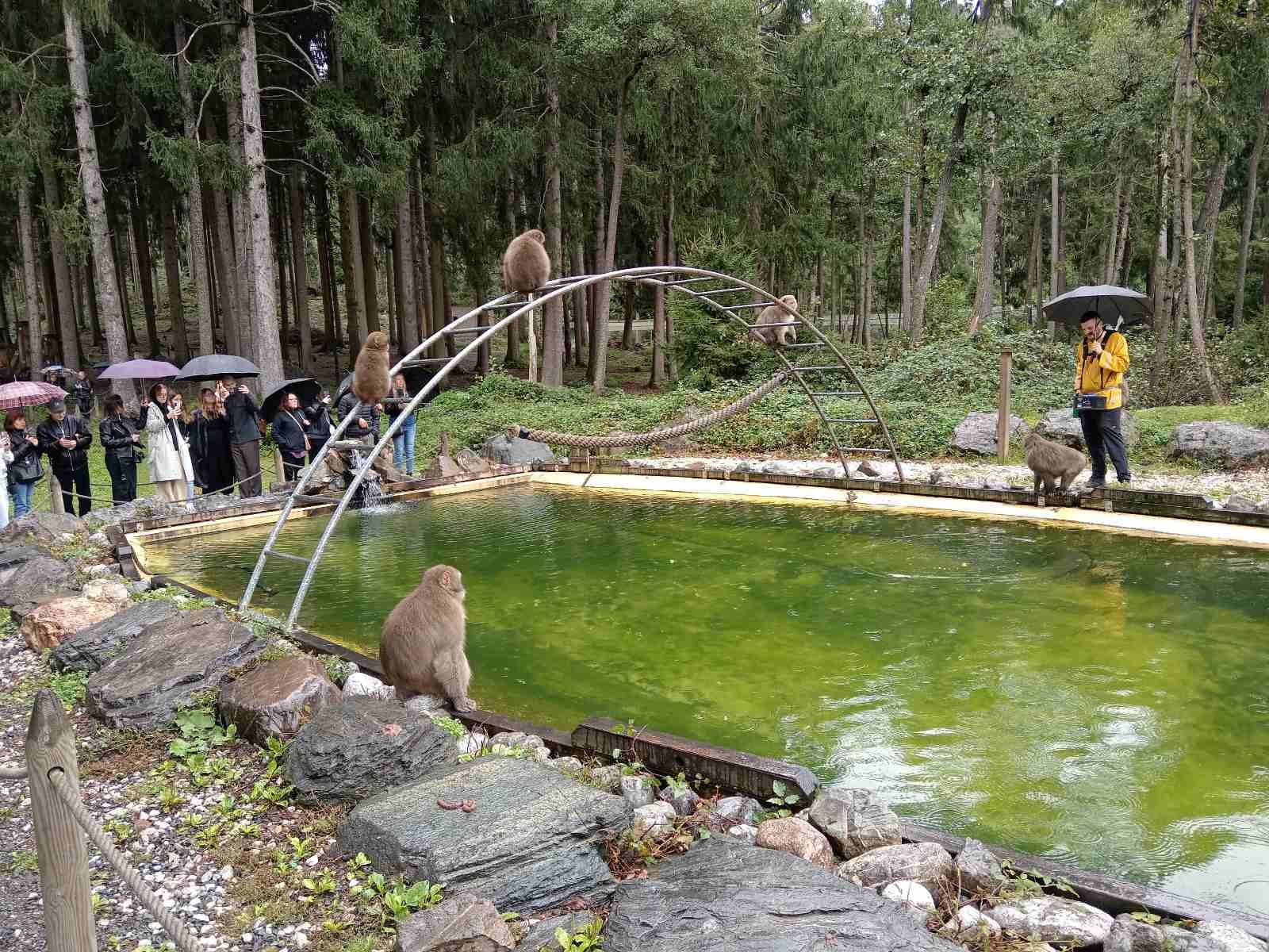 487858859 1178611744047888 8733155101229067841 n