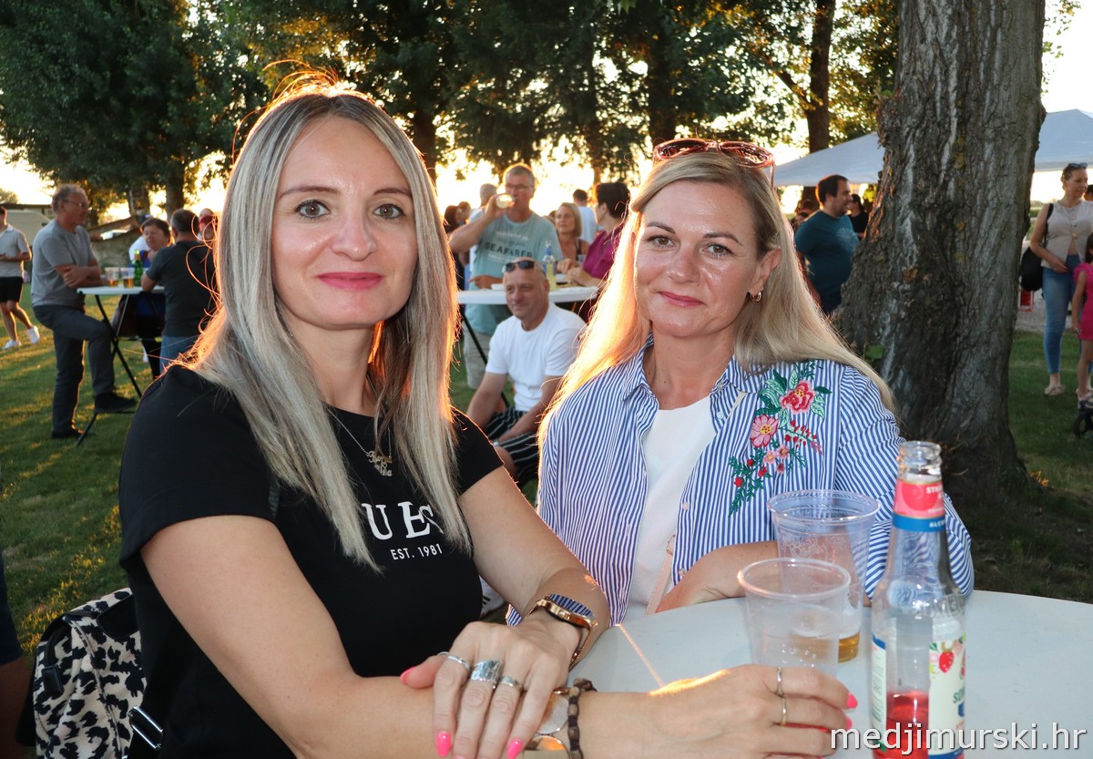 Aleksandar Lazić Lov na labuđe pero (16)