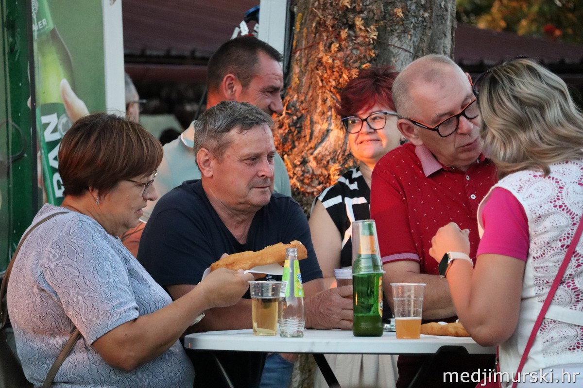 Aleksandar Lazić Lov na labuđe pero (36)