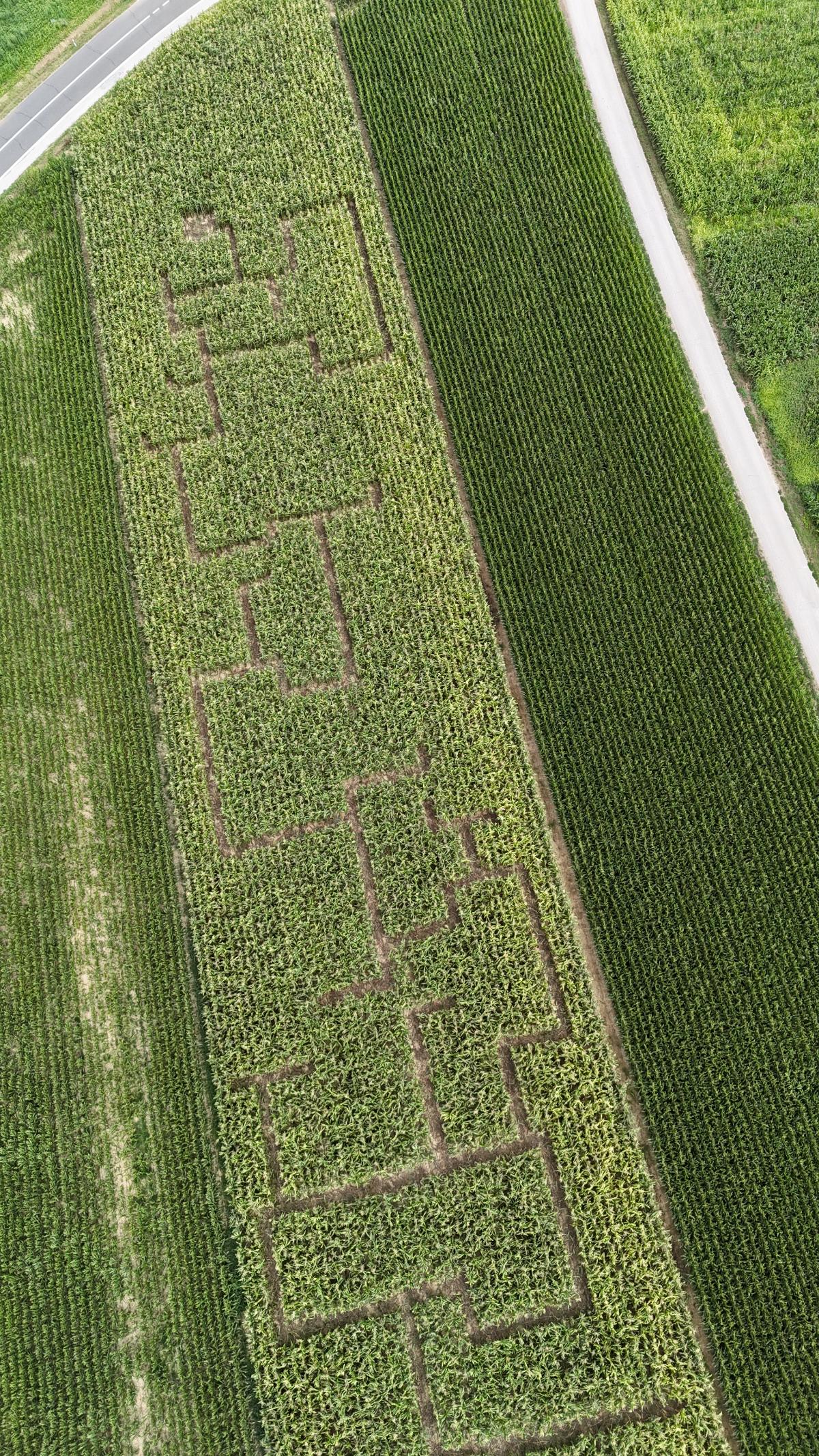 DJI 20260723115842 0033 D