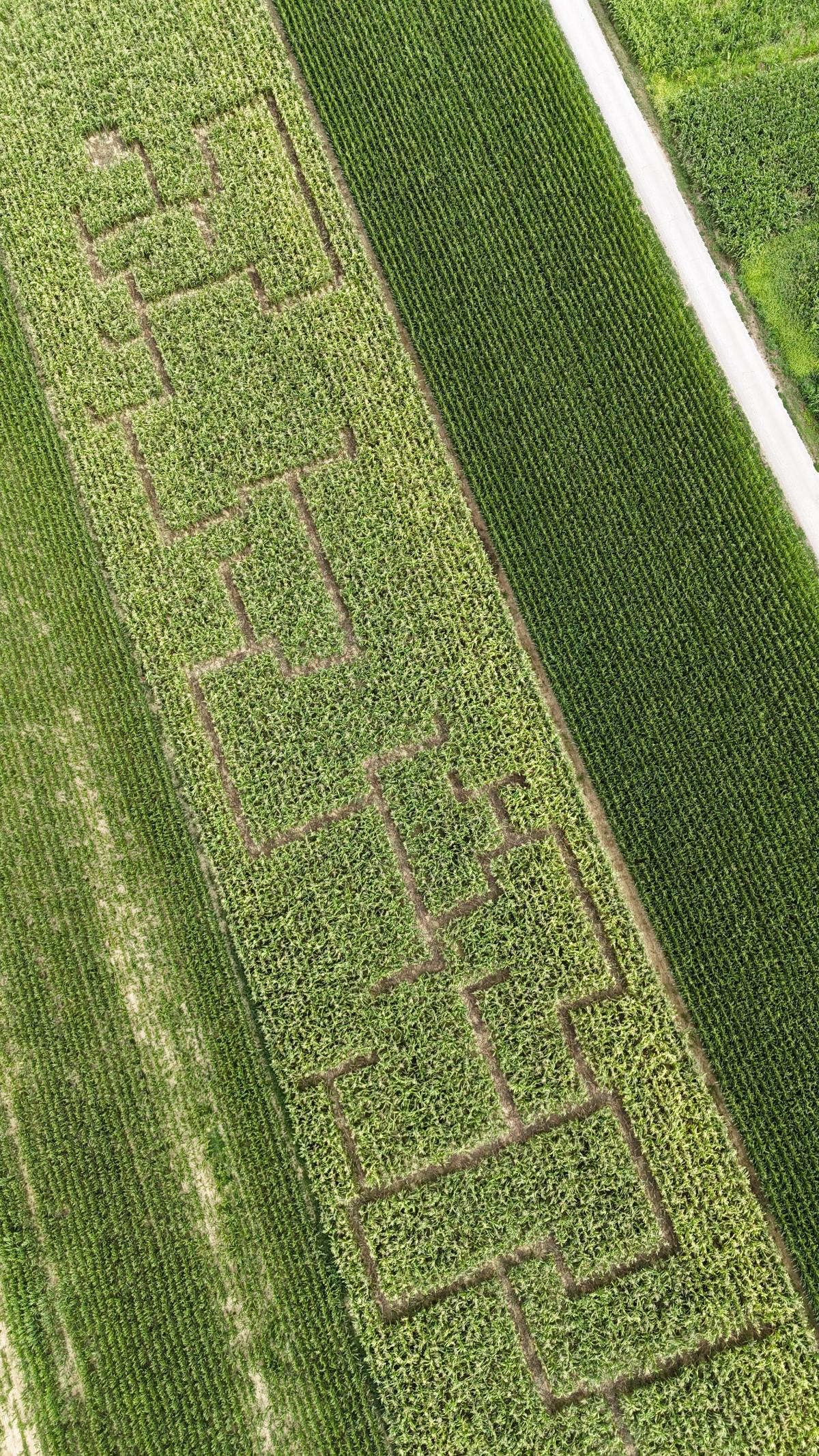 DJI 20260723115849 0034 D