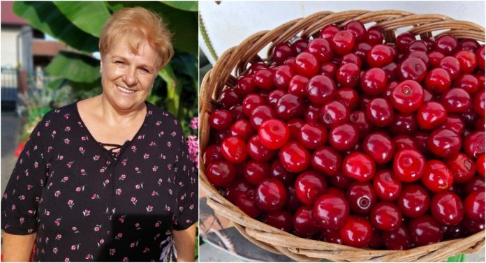 GLAVNA (89) GLAVNA (89)