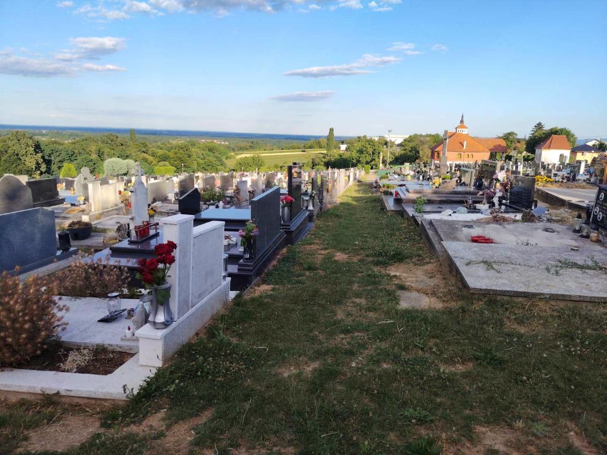 Groblje pokošeno (1)