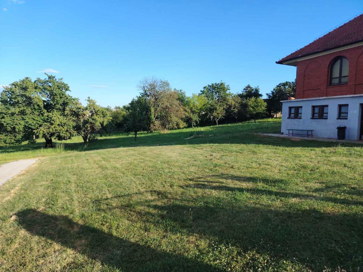 Groblje pokošeno (2)