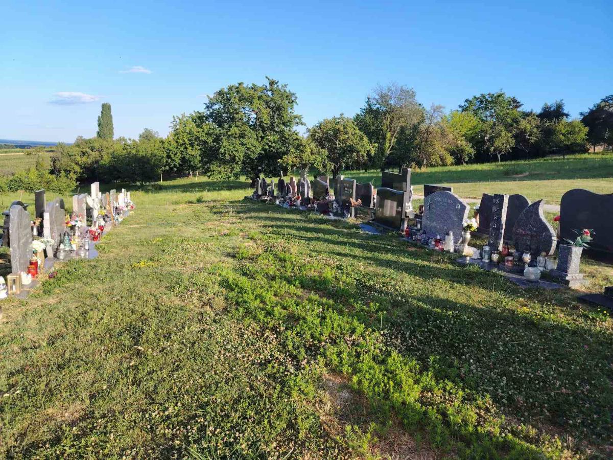 Groblje pokošeno (3)