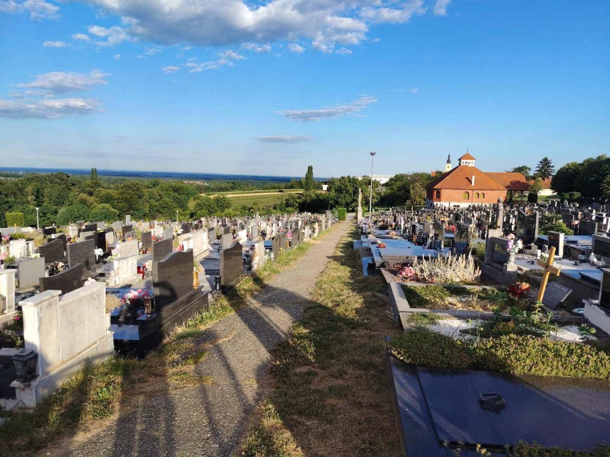Groblje pokošeno (9)