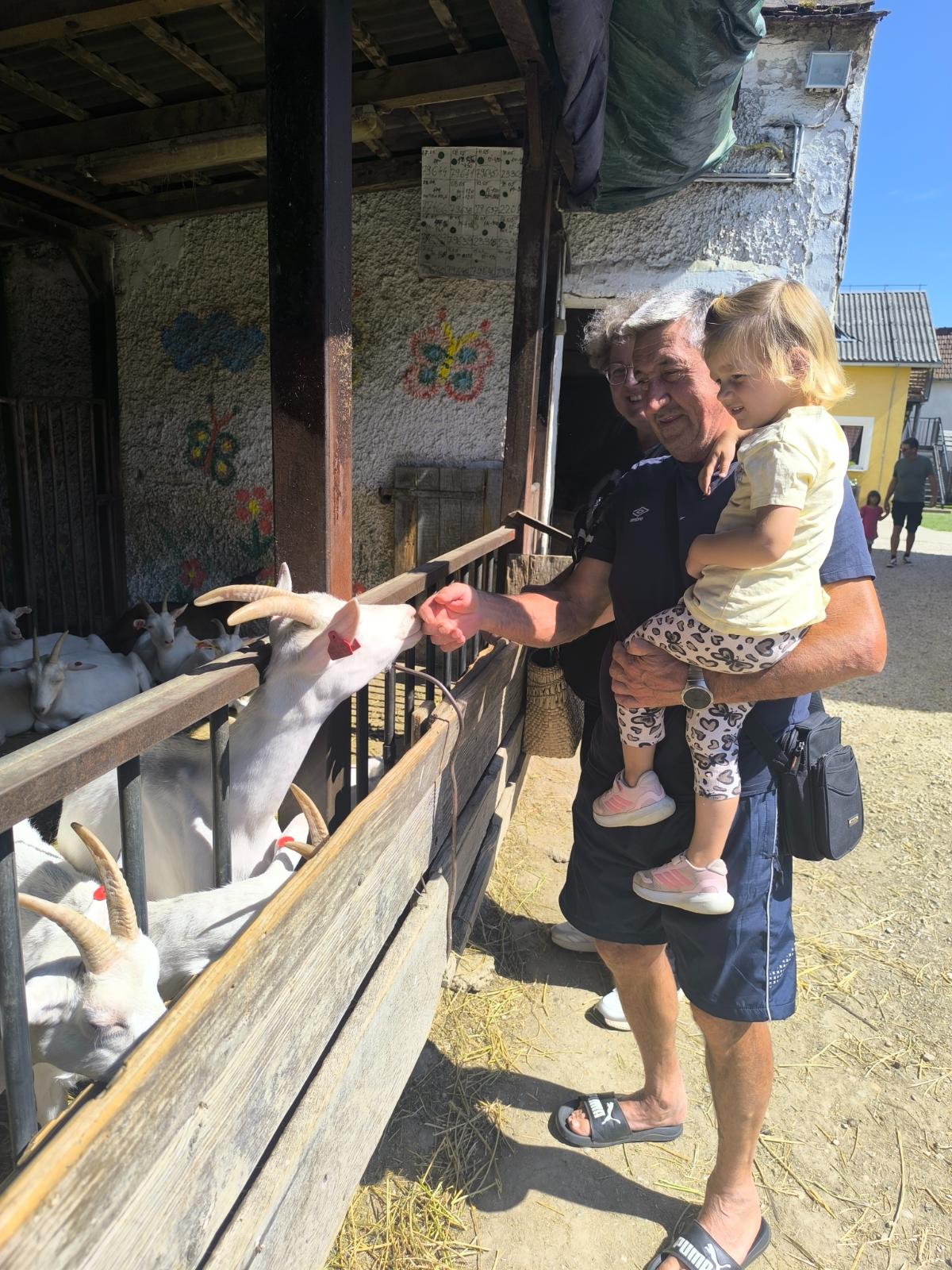 IMG 20260725