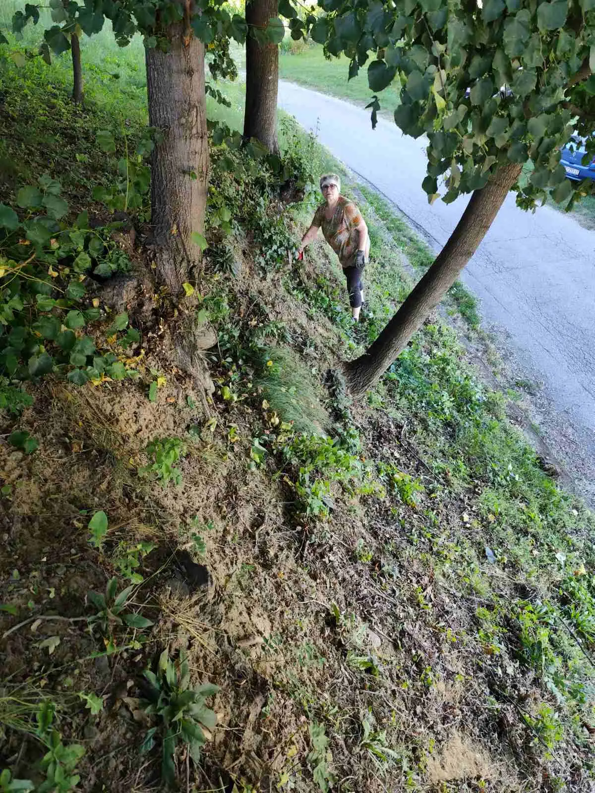 Kapelščak uređenje (2)