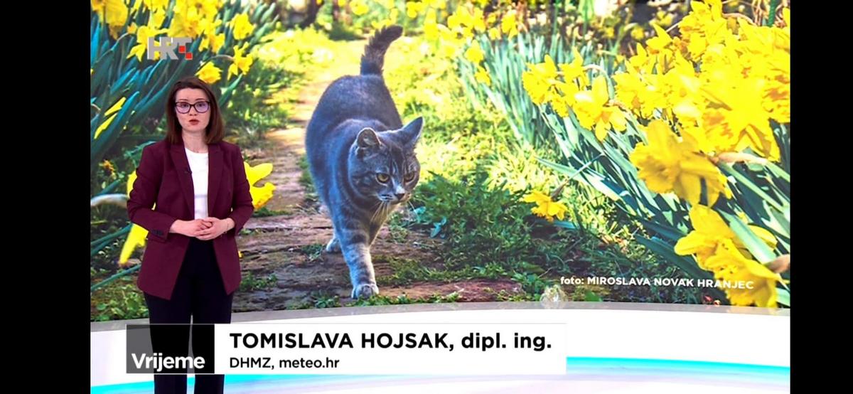 Miroslava Novak Hranjec Fotke prognoza (4)