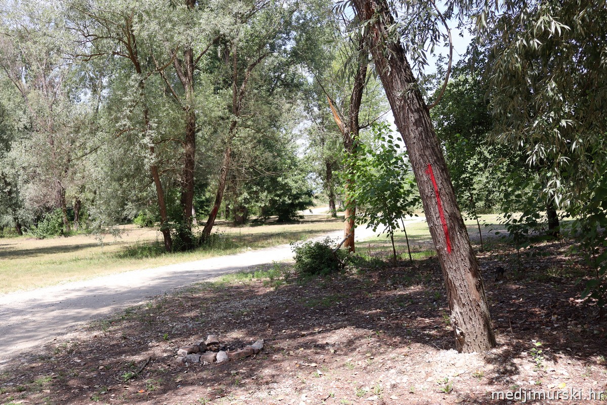 Počeli radovi svetomarsko kupalište (10)