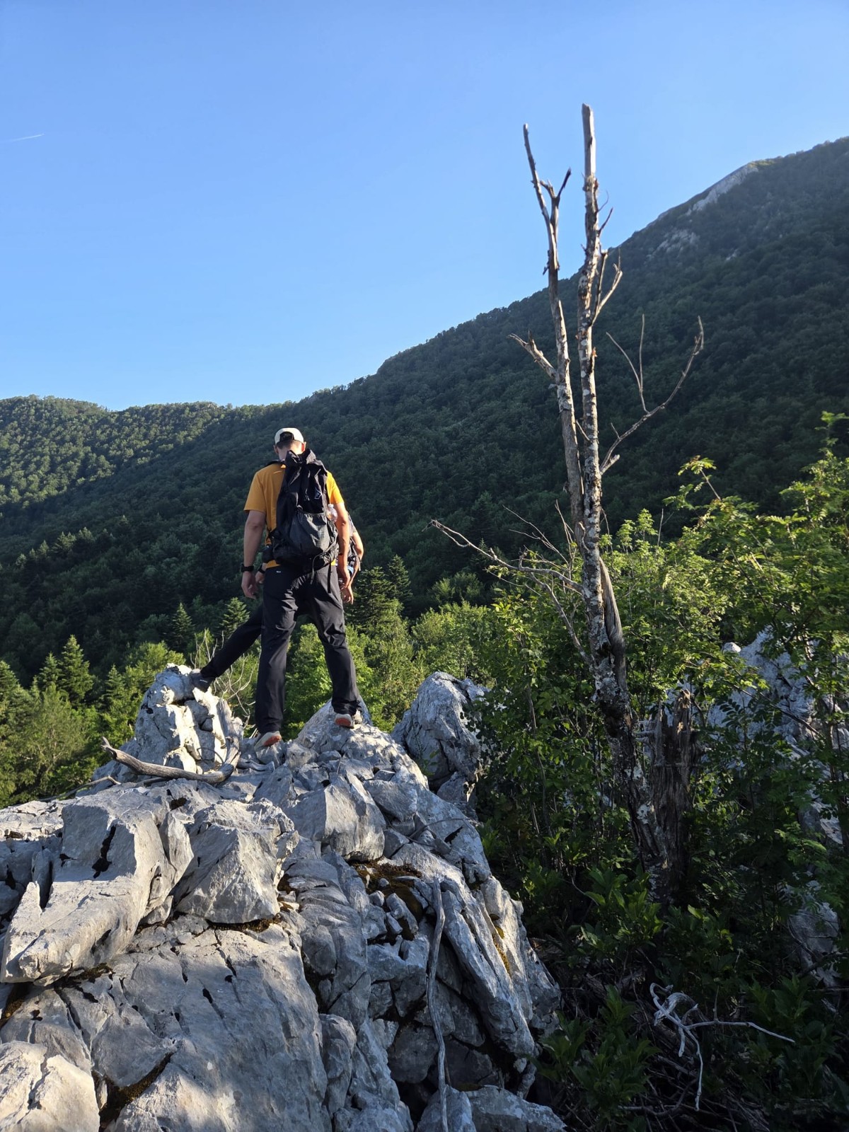 Rekognosciranje J. Velebit, Ivan Plačko