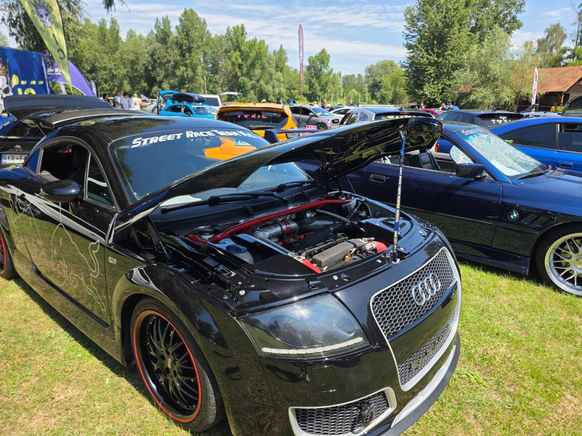 Tuning Car Show (14)