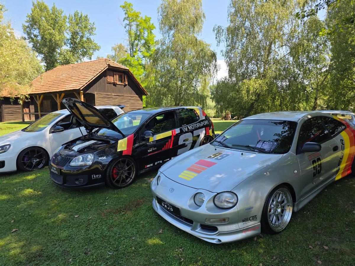 Tuning Car Show (19)