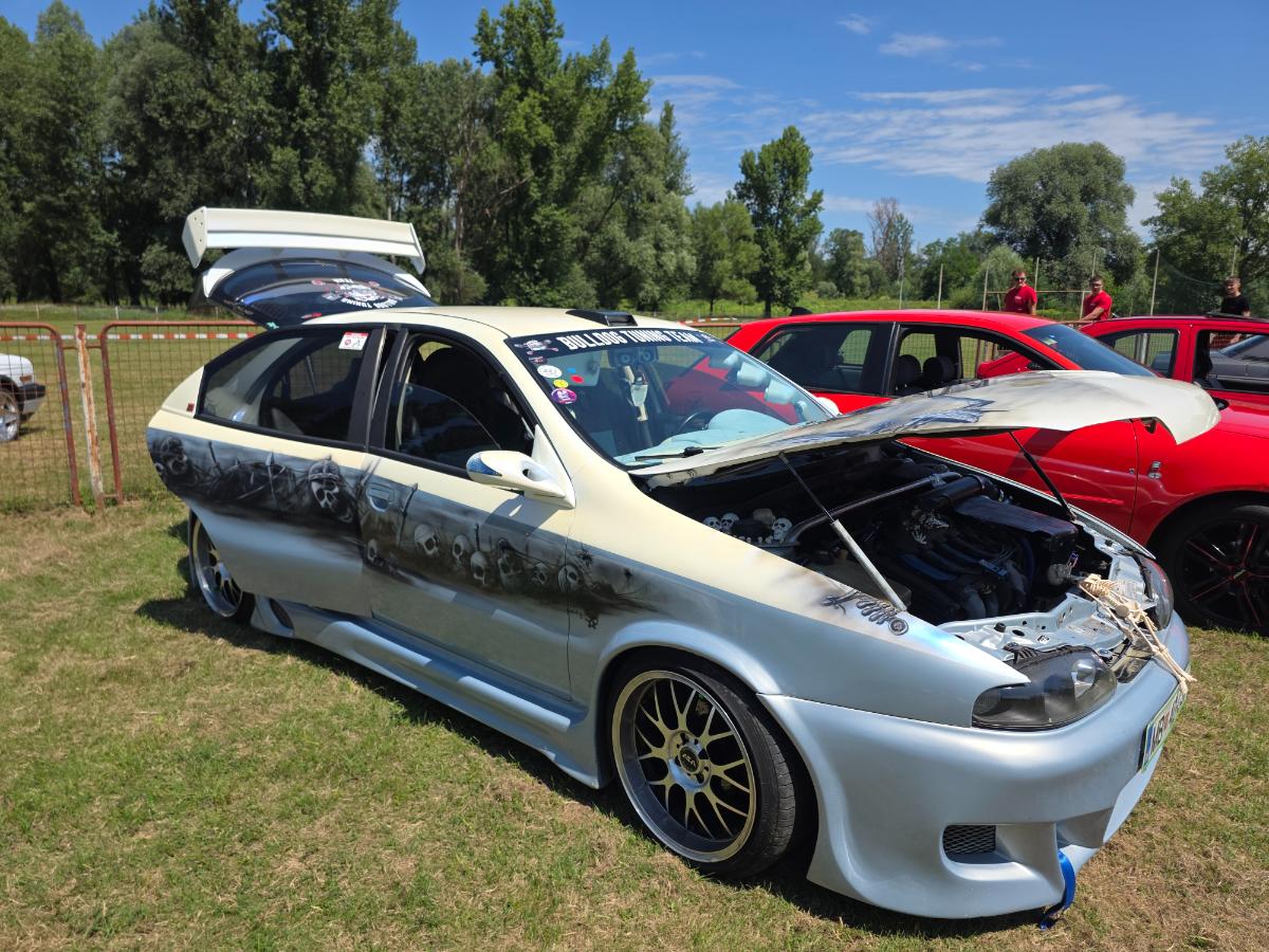 Tuning Car Show (9)