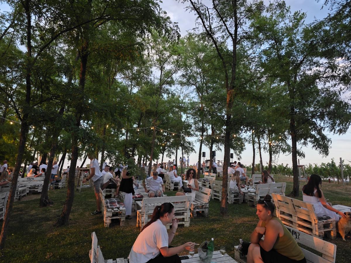 White wine party 2 (1)