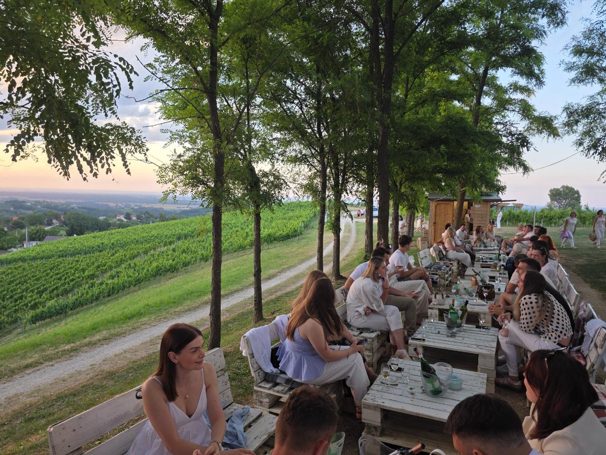 White wine party 2 (5)
