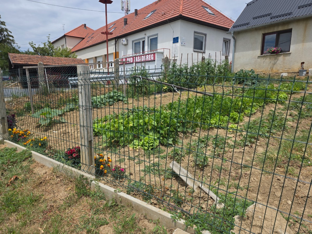 Zasadbreg ograda (3)