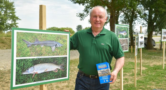 Majzek izlozba marina prelog