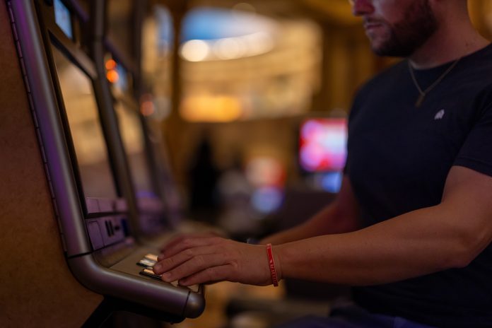 Mountaindweller casino