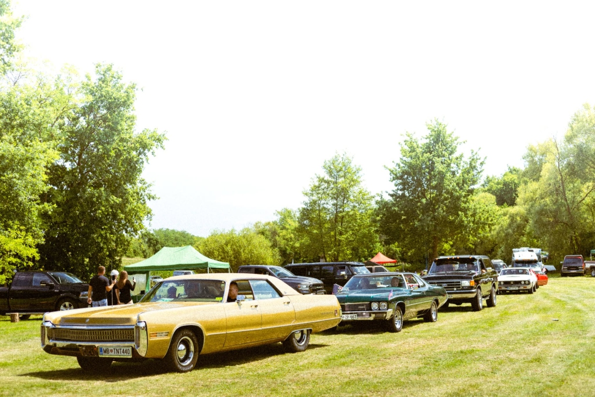 PicnicPromo (1)
