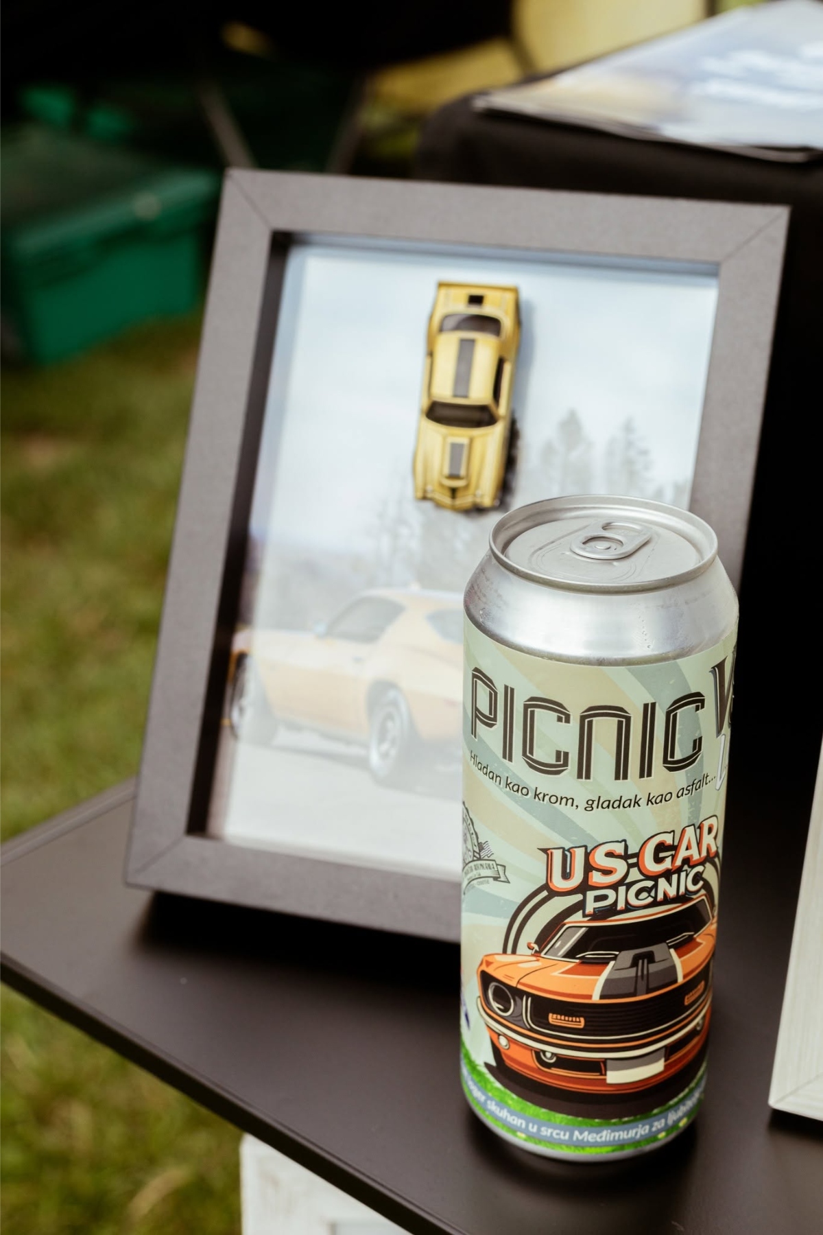 PicnicPromo (4)