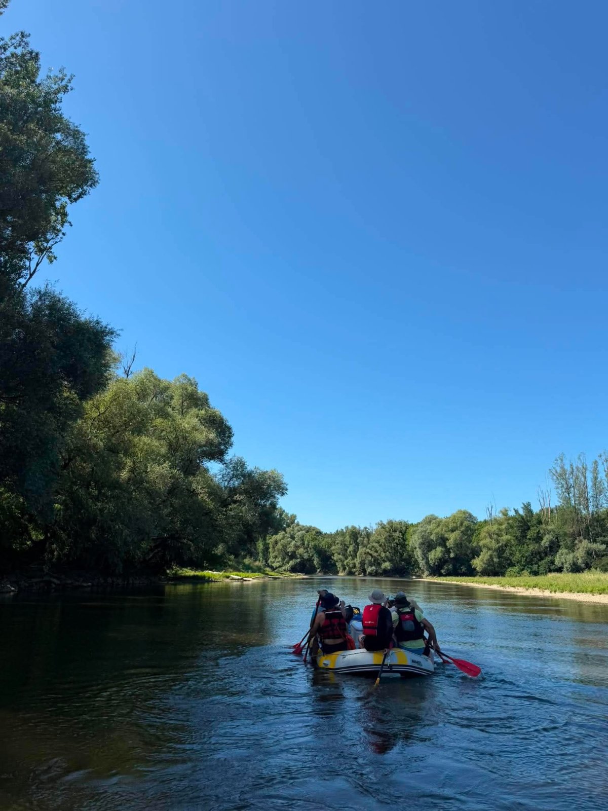 Viber image 2026 07 04 18 13 13