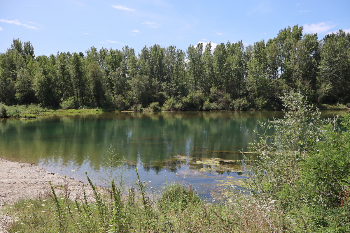 Za unutra 5 Stara Drava kod Svete Marije (1)